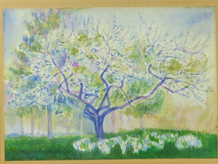 A. TRACHSEL.   "Amandier en fleurs" Aquarelle, signée en bas à droite.