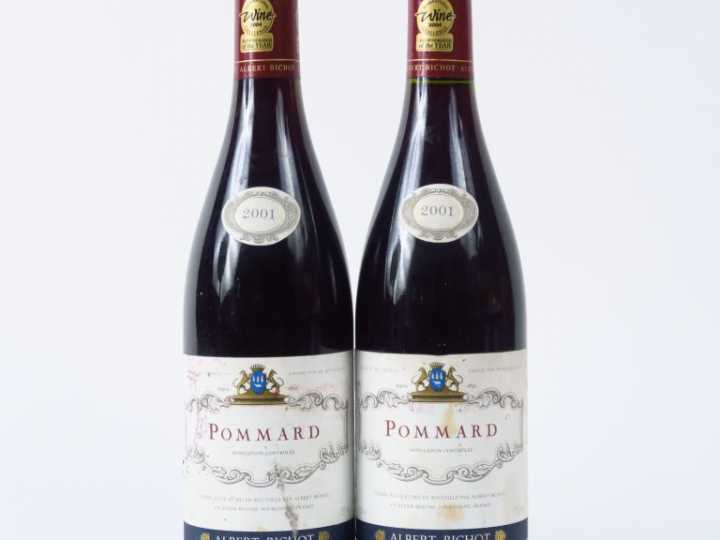 2 BOUTEILLES POMMARD A. BICHOT - 2001