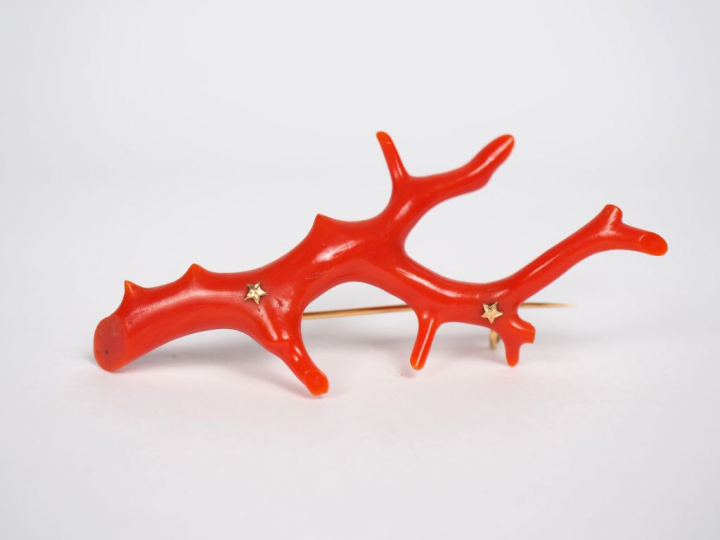 Broche à décor d'une branche de corail. Monture or jaune.  Long. 8 cm 