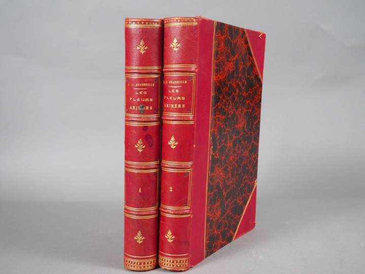 JJ. GRANDVILLE. Les fleurs animées. Texte par A. Karr, Taxile Delord e