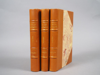 Vente aux enchères LA FONTAINE. Fables choisies  Edition illustrée par Malassis et Fred M