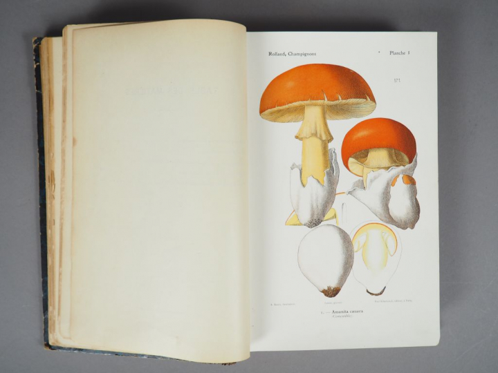 ROLLAND (Léon). Atlas des champignons de France, Suisse et Belgique. 1