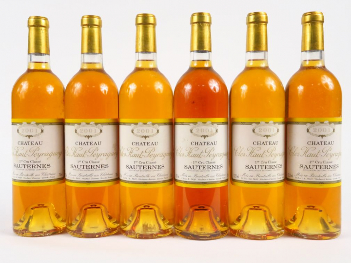 6 BOUTEILLES CHÂTEAU CLOS HAUT PEYRAGUEY 1er CC SAUTERNES - 2001