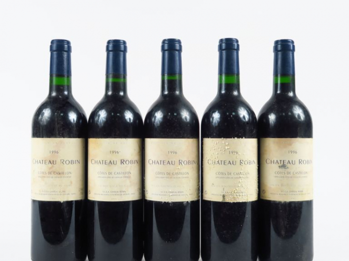5 BOUTEILLES CHÂTEAU ROBIN CÔTES DE CASTILLON - 1996