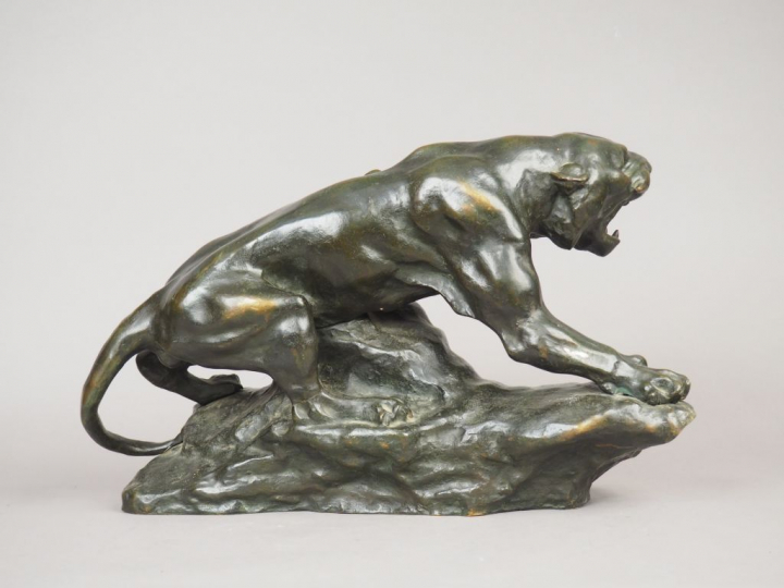 Ecole française fin XIXème. "Lionne rugissant" Sculpture en bronze à p