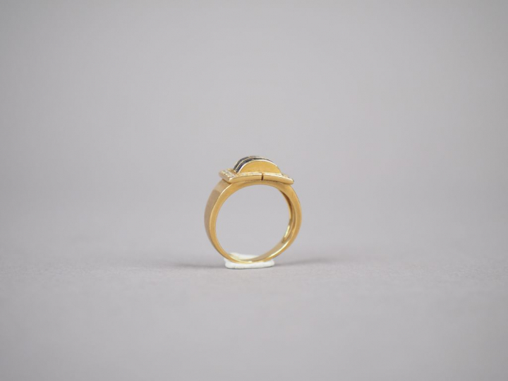 Bague pont en or jaune, ornée de deux lignes de saphirs calibrés entou