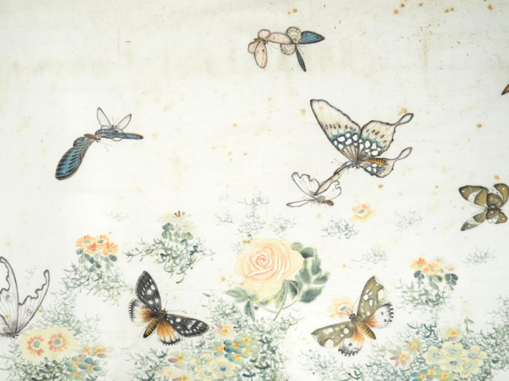 Paire d'aquarelles sur papier représentant diverses espèces de papillo