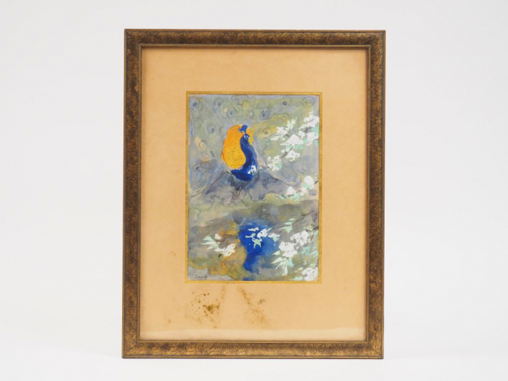 	Paul JOUVE « Paon » Aquarelle gouachée.  Signée en bas à gauche. 22,3