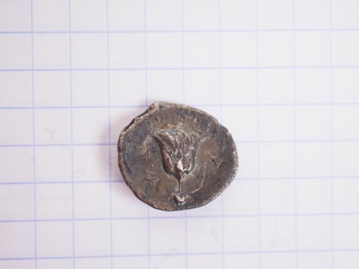 Iles de Carie. Rhodes. Drachme d’argent. III-IIe s. av. J.-C. A/ Tête 