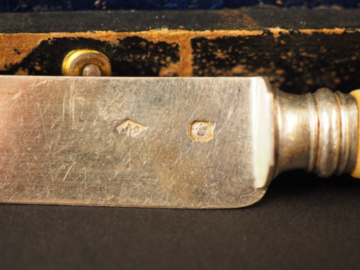 Suite de dix-huit couteaux à fruit lame argent, manche ivoire.  Dans l