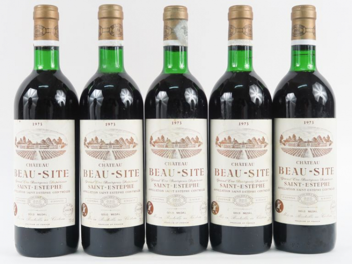 5 BOUTEILLES CHÂTEAU BEAU SITE ST ESTEPHE - 1973 - LB