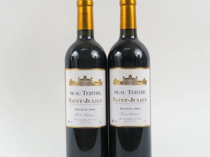 2 BOUTEILLES BEAU TERTRE SAINT JULIEN - 2009