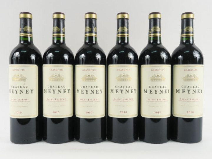 6 BOUTEILLES CHÂTEAU MEYNEY ST ESTÈPHE - 2010