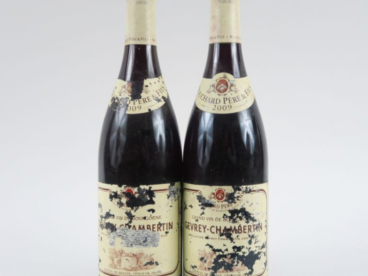 2 BOUTEILLES GEVREY CHAMBERTIN BOUCHARD PÈRE   FILS - 2009 - EA