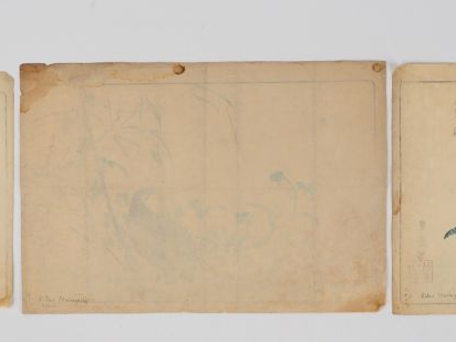 KEISAI (1761-1824)  Deux estampes oban yoko-e d’oiseaux et fleurs.  On