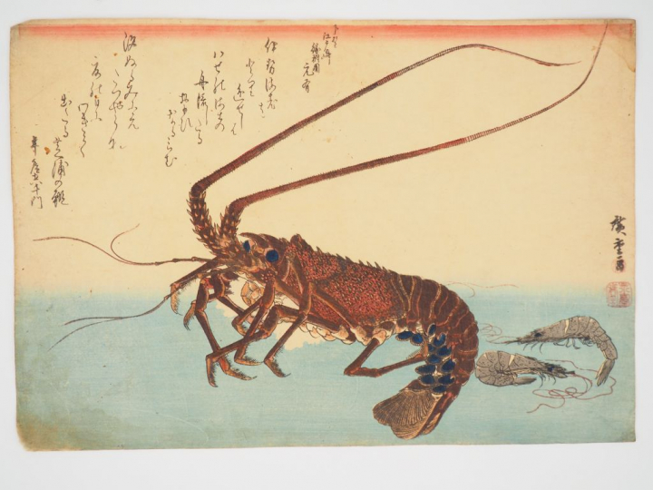 HIROSHIGE (1797-1858) Estampe oban yoko-e de la « Grande série des poi