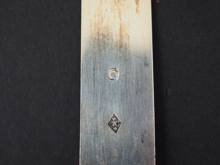 Suite de douze couteaux à fruit, lame argent poinçon Minerve. Manches 