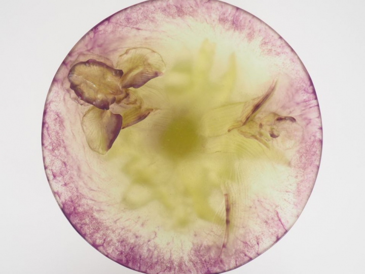 DAUM (attribué à). Coupe sur talon en pâte de verre vert anis et mauve