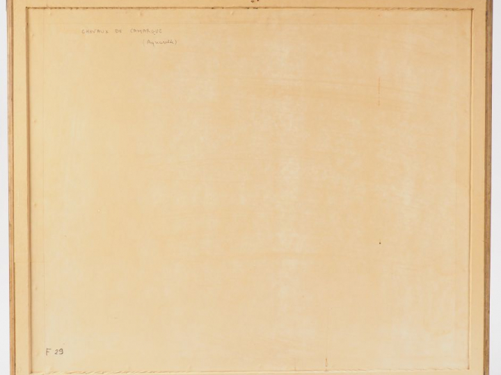 Yves BRAYER  "Chevaux de Camargue" Aquarelle. Signée en bas à gauche. 