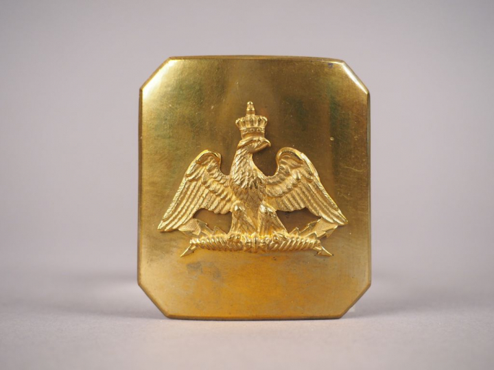 Belle plaque rectangulaire à pans coupés en laiton portant un aigle ra