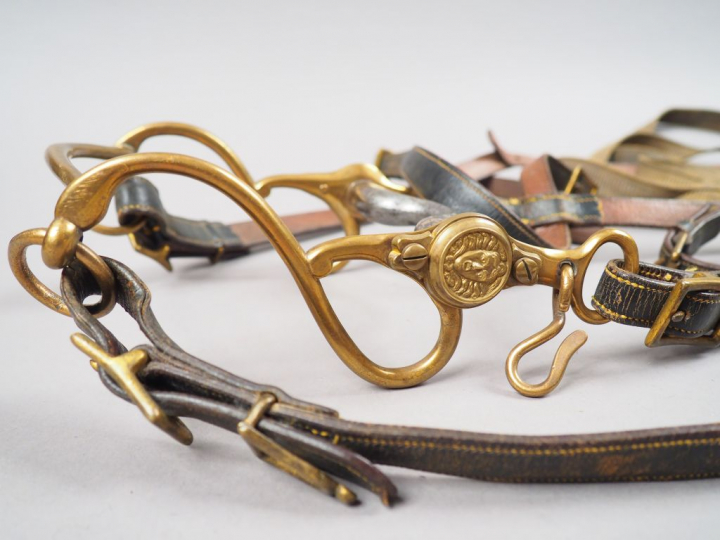 Ensemble du harnachement de sellerie en cuir d’officier Troisième Répu