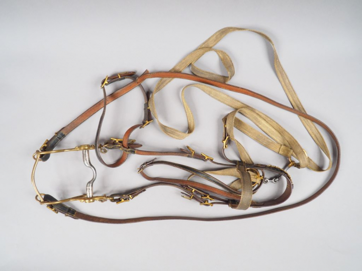 Ensemble du harnachement de sellerie en cuir d’officier Troisième Répu