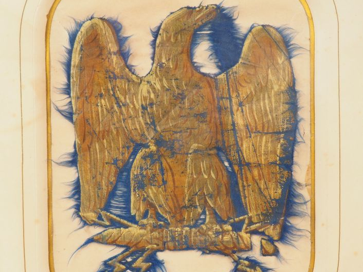 Cadre vitré contenant une aigle sénestrogyre non couronné peint en dor