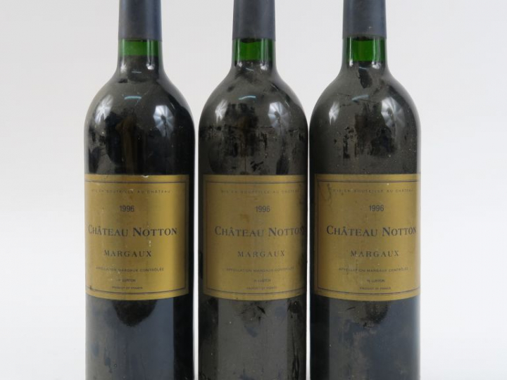3 BOUTEILLES CHÂTEAU NOTTON MARGAUX - 1996