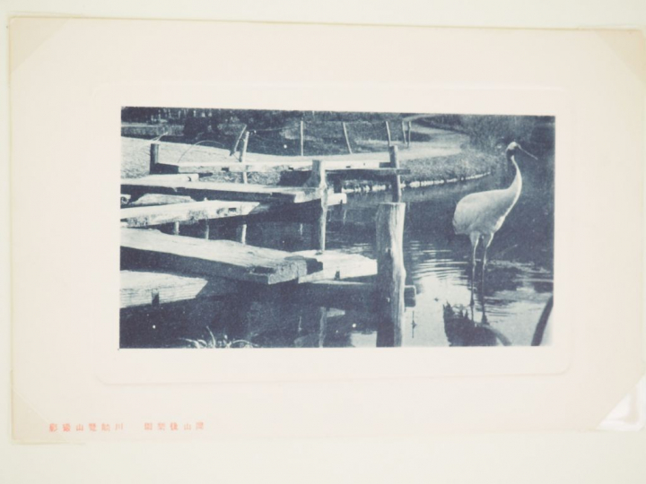 Album de cartes postales dont certaines militaires. Japon, vers 1920.