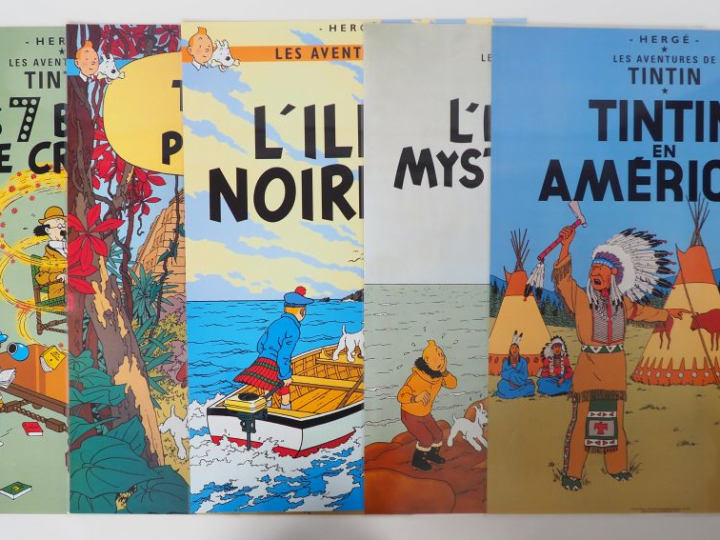 16 AFFICHES plastifées 43x 62 cm dont 15 représentant des couvertes et