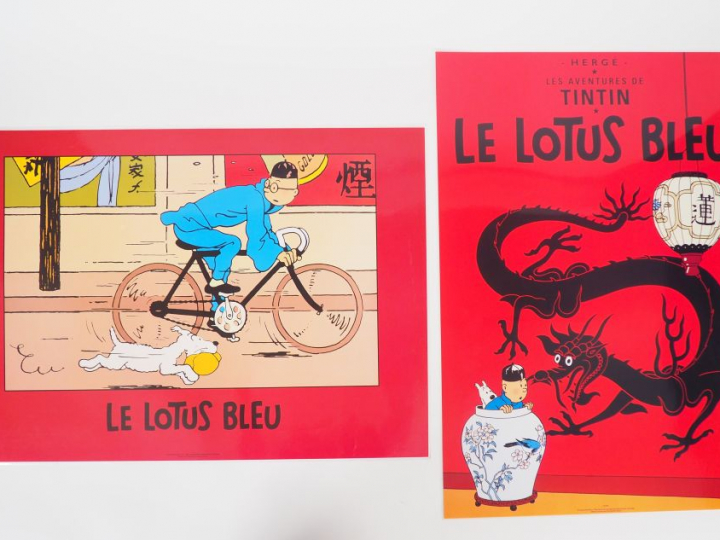 16 AFFICHES plastifées 43x 62 cm dont 15 représentant des couvertes et