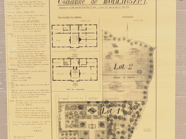 25 Affiches représentant le PLAN COMPLET DE LA VENTE DU CHÂTEAU DE MOU
