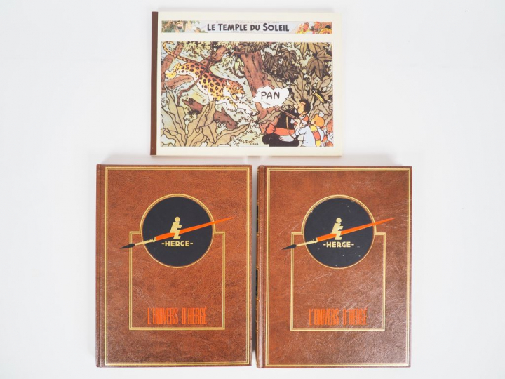 12 volumes L'œuvre Intégrale d'HERGE Edition ROMBALDI ( T1 à T10  ) + 