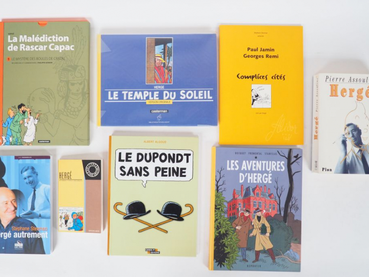 8 ouvrages sur Tintin (Hergé (1996),Hergé,  Hergé Autrement (2003),Le 