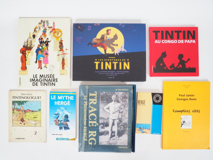 8 ouvrages sur Tintin (TRACE RG (1998) BE +, Le Musée Imaginaire de Ti
