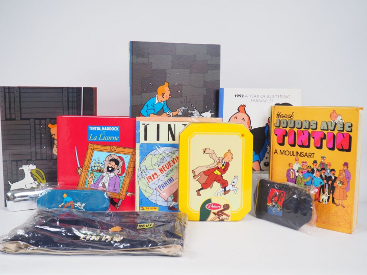Superbe lot comprenant : 1 Etui et lunettes NEUF (Fusée)+ 1 sac Tintin
