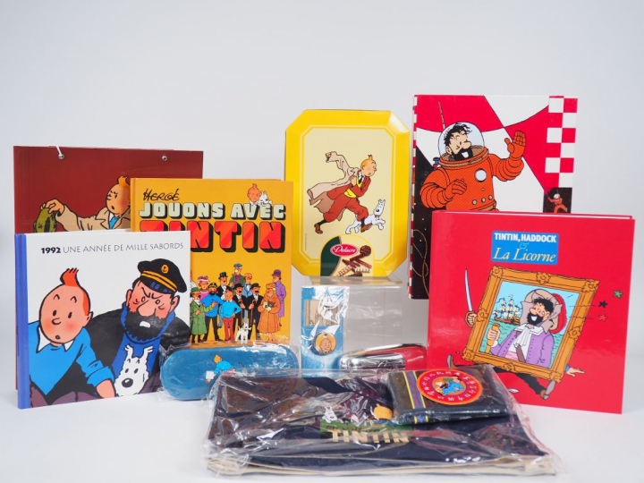Superbe lot comprenant : 1 Etui et lunettes NEUF + 1 sac Tintin Neuf +