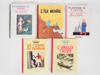 Vente aux enchères 5 albums FS dont Tintin au Congo (1982) TBE + Ile Noire (version Tinti