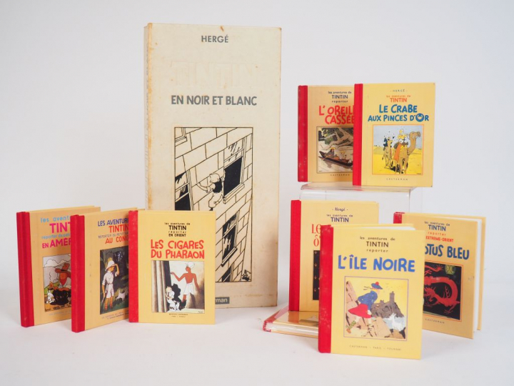 TINTIN "EN NOIR ET BLANC" COFFRET DES 9 MINI-ALBUMS édition 1986 BE/TB