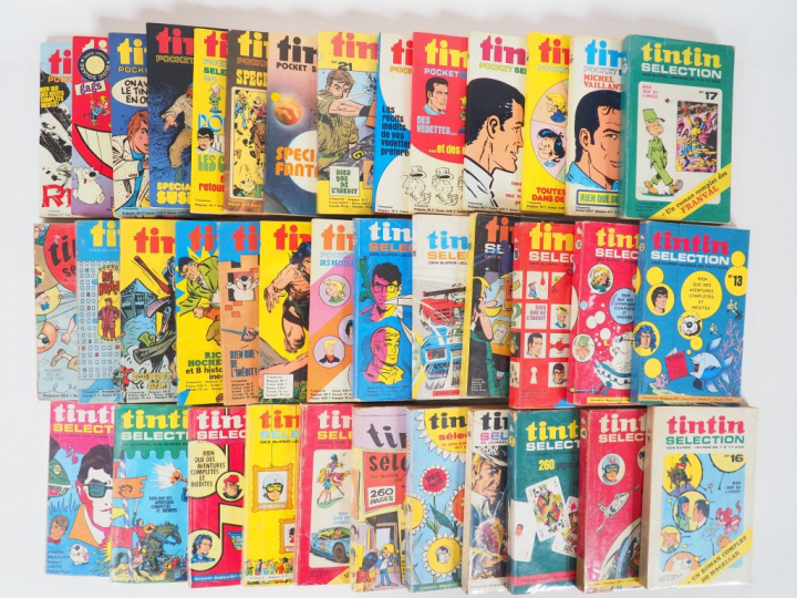 LOT de 38 Tintin Selection du N°2 au N° 38 + 1 HS BE petit format 