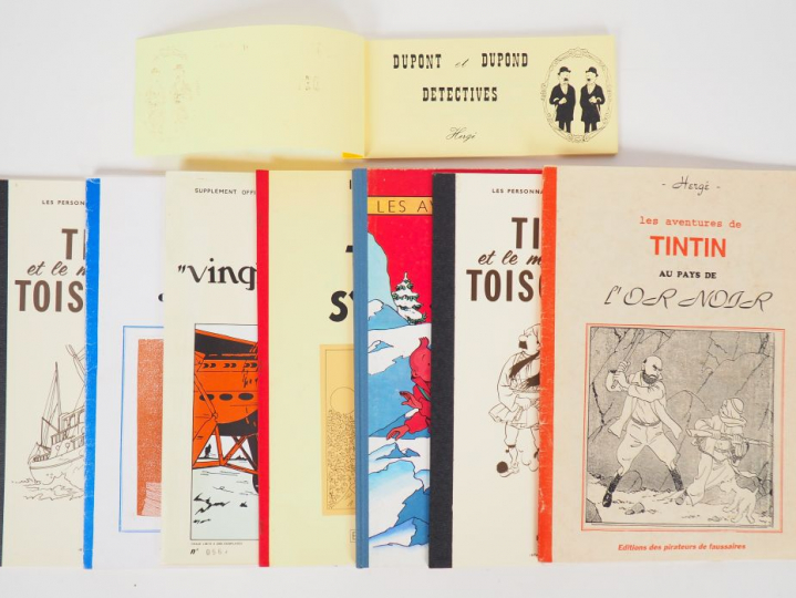 Ensemble de 7 albums parodies : Tintin et le Mystére de la Toison d'Or