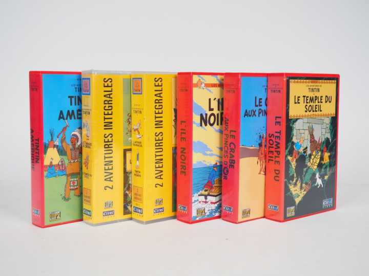 6 Cassettes VHS CITEL (Temple,Crabe,ile noire,Affaire Tournesol,Picaro