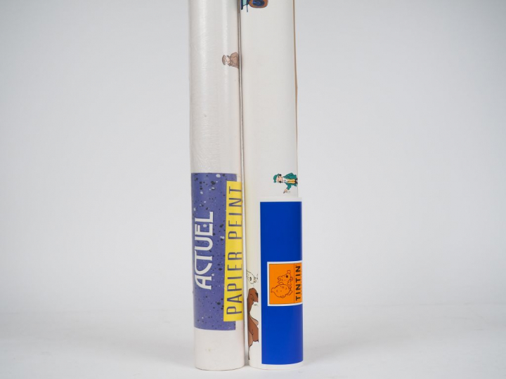 LOT de 10 rouleaux regroupant divers personnages TINTIN. Dim 10,05 m x