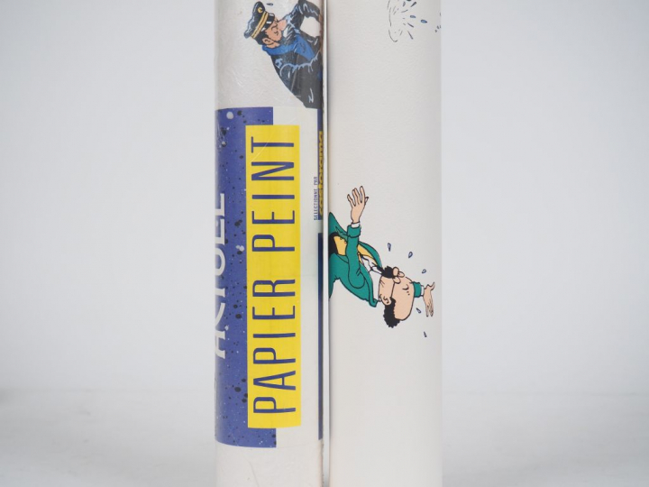 LOT de 5 rouleaux regroupant divers personnages TINTIN. Dim 10,05 m x 