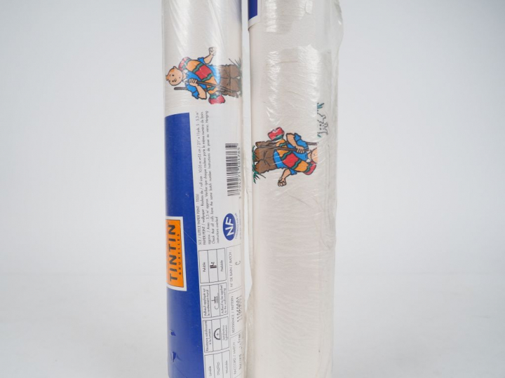 LOT de 10 rouleaux représentant les personnages Album "Le temple du So