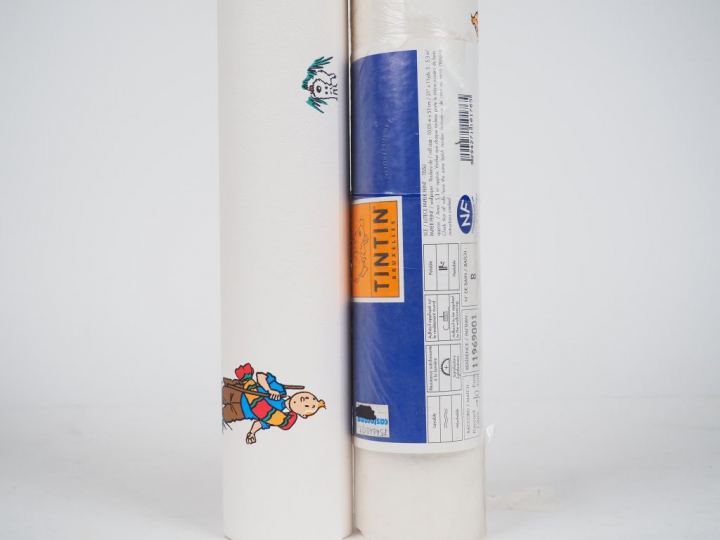 LOT de 10 rouleaux représentant les personnages Album "Le temple du So