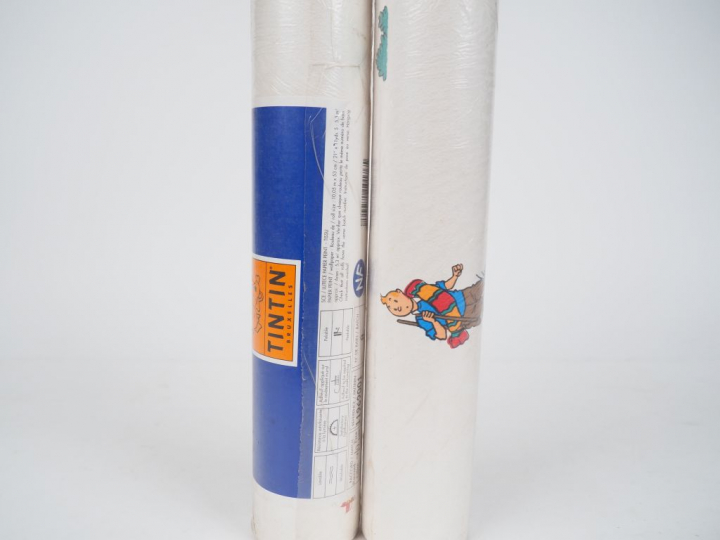 LOT de 10 rouleaux représentant les personnages Album "Le temple du So