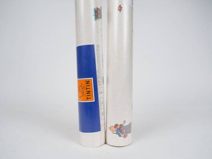 LOT de 10 rouleaux représentant les personnages Album "Le temple du So