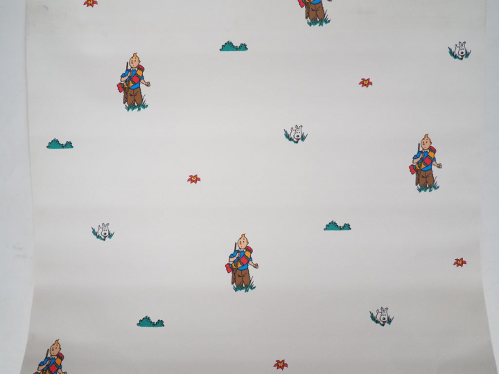 LOT de 5 rouleaux représentant les personnages Album "Le temple du Sol