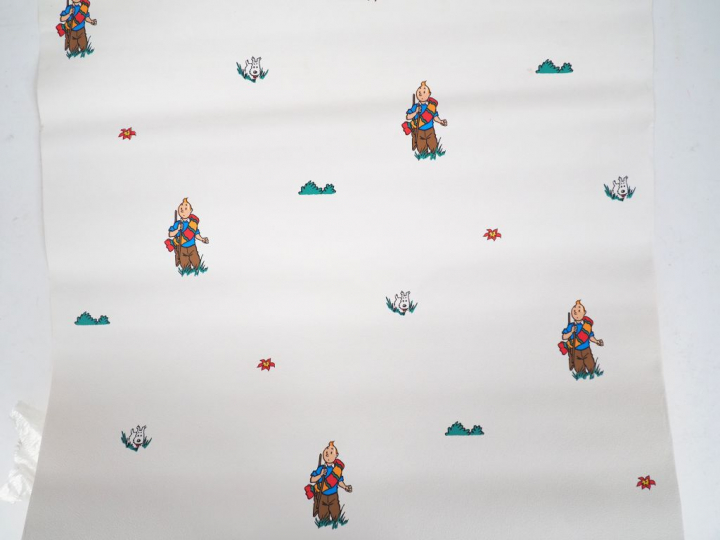 LOT de 10 rouleaux représentant les personnages Album "Le temple du So